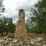 In localit� Bosco San Nicola, a Terlizzi, si pu� notare il menhir che ricorda il profilo di una donna